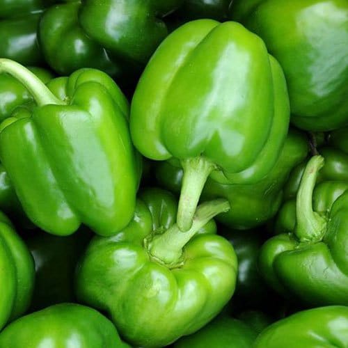 Capsicum (Bell Pepper)(0709)