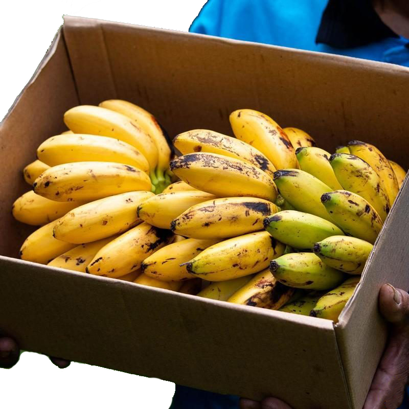Cardamom Banana (0803)