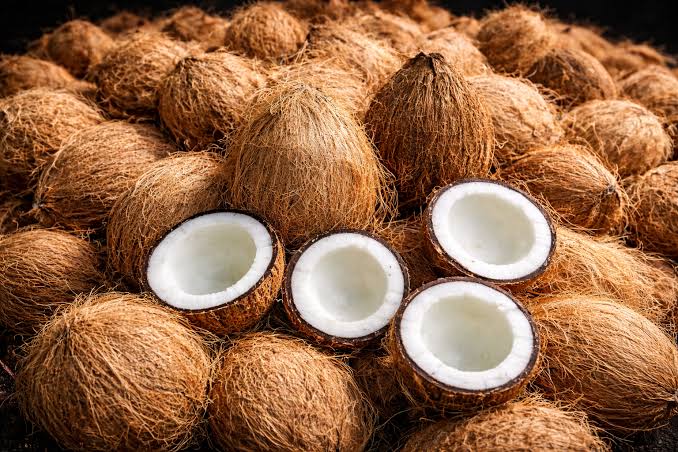 Coconut (0801)