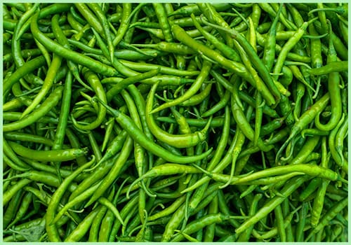 Green Chilli(0709)