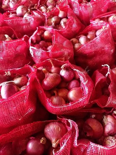 Fresh Onion (0703)